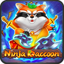 Ninja Raccoon