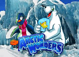 Artic Wonders