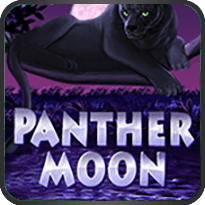 Panther Moon